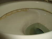 トイレ掃除前